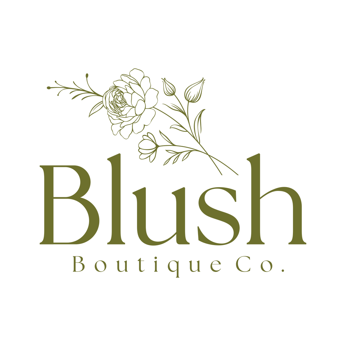 Dresses Blush Boutique Colorado